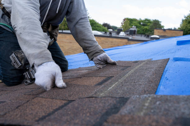Best Roof Gutter Cleaning  in Dunkirk, MD